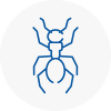 Ant Removals In Bessacarr