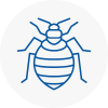 Bed Bug Extermination In Bessacarr
