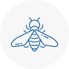 Bee Nest Removal Bessacarr