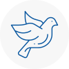 Bird Prevention Bessacarr