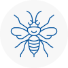 Bessacarr Hornet Nest Removals
