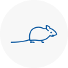 Mice Exterminators In Bessacarr