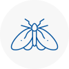 Moth Control Specialists In Bessacarr