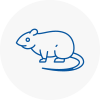 Rat Control Bessacarr