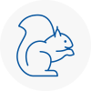 Bessacarr Rodent Removals