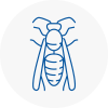 Bessacarr Wasp Nest Removal